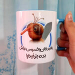 ماگ پشه مهمونی