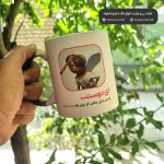 ماگ پشه مهمونی گر به سرمنزل جانان رسیدی - Image 2