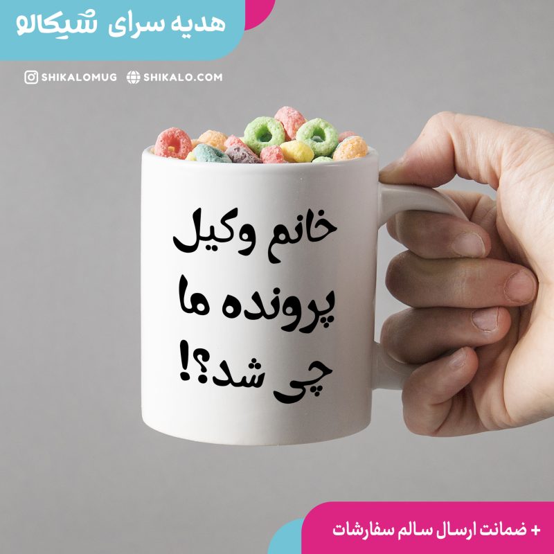 ماگ وکیل پرونده ما چیشد؟