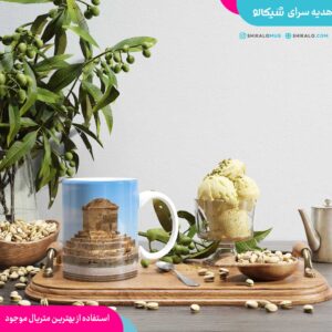 ماگ-طرح-آرامگاه-کوروش2