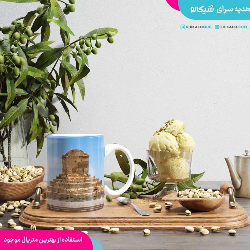 ماگ-طرح-آرامگاه-کوروش2