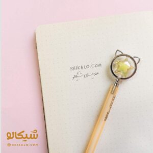 اتود فلزی گربه