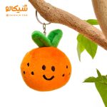 سرکلیدی نارنگی