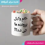 ماگ وکیل پرونده ما چیشد؟