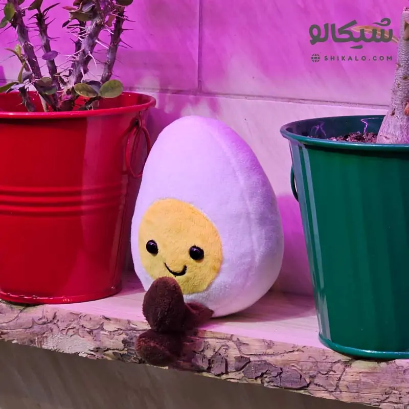 عروسک تخم مرغ 1 عروسک تخم مرغ