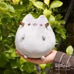 عروسک گربه پوشین