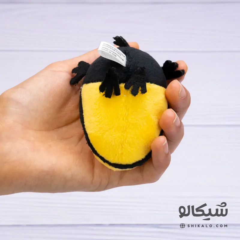 سرکلیدی کلاغ