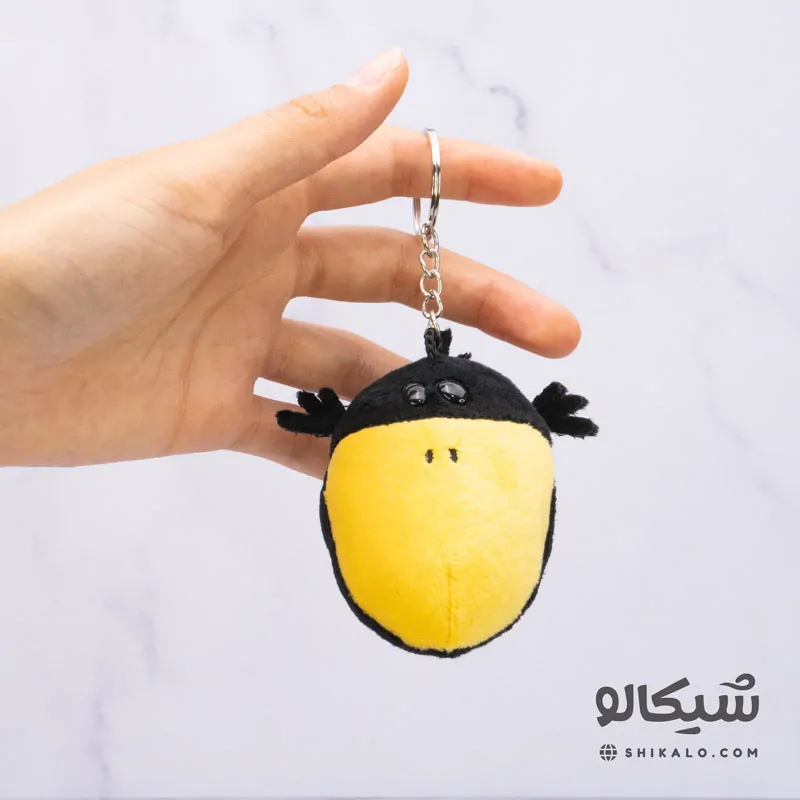 سرکلیدی کلاغ 1 سرکلیدی کلاغ