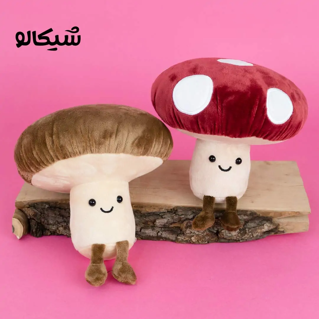 قارچ