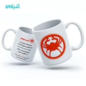 ماگ تیر