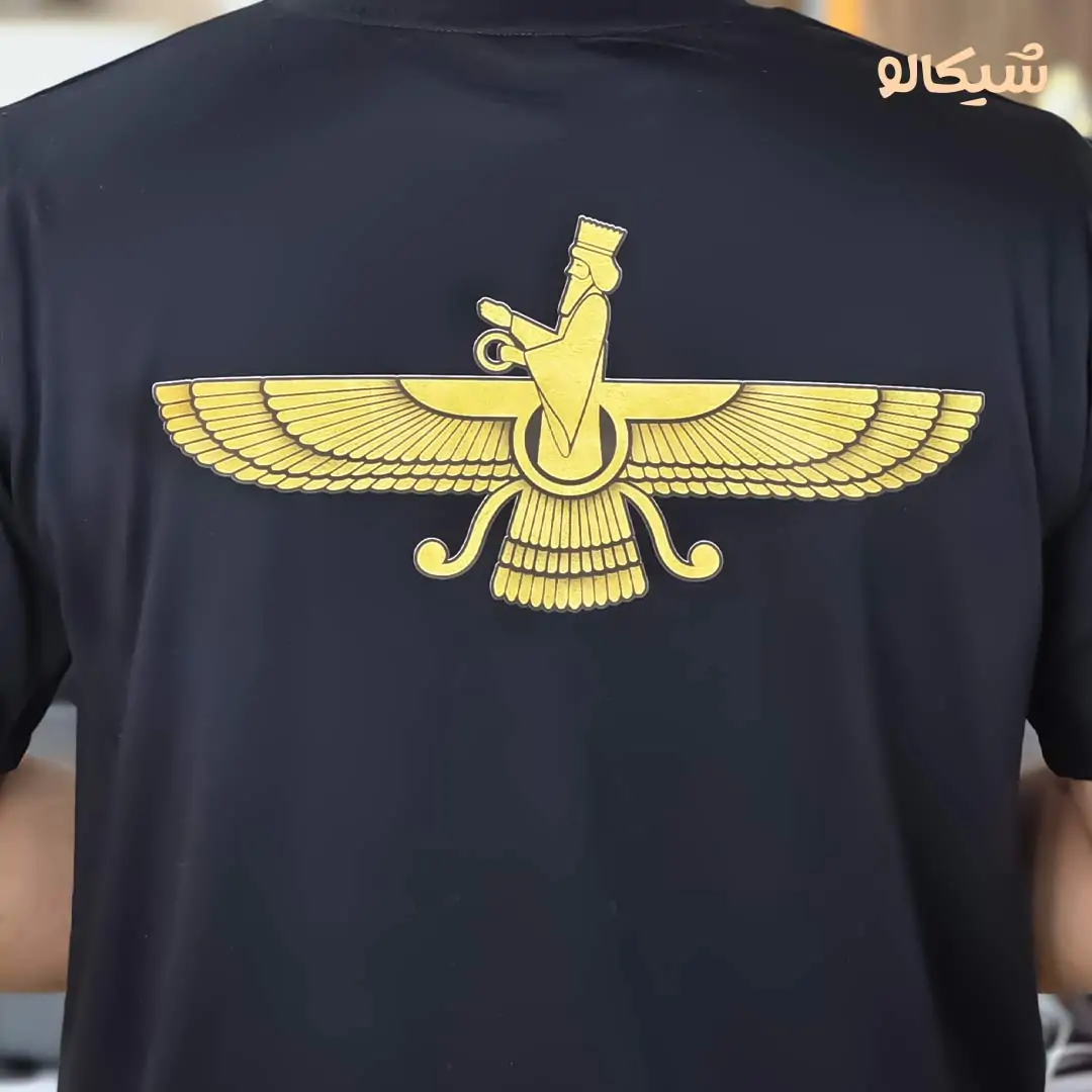 تیشرت آرامگاه کوروش و فروهر - تصویر 6